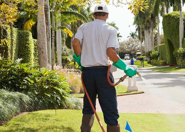 About Harrington ME Pest Control